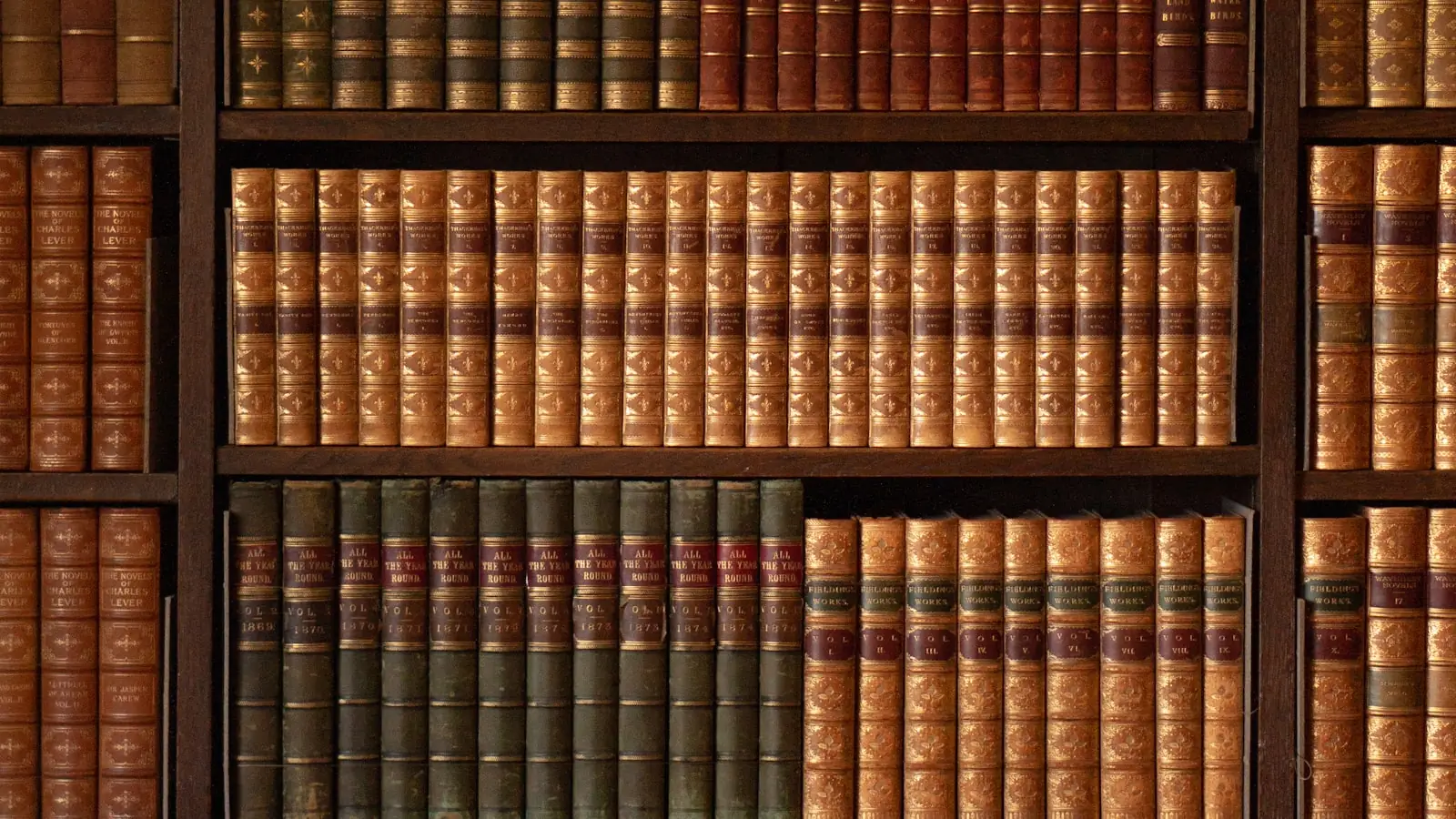 The Briggs and Hatcher library, rows of bound legal volumes